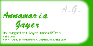 annamaria gayer business card